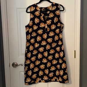 Ann Taylor Sleeveless Floral Dress